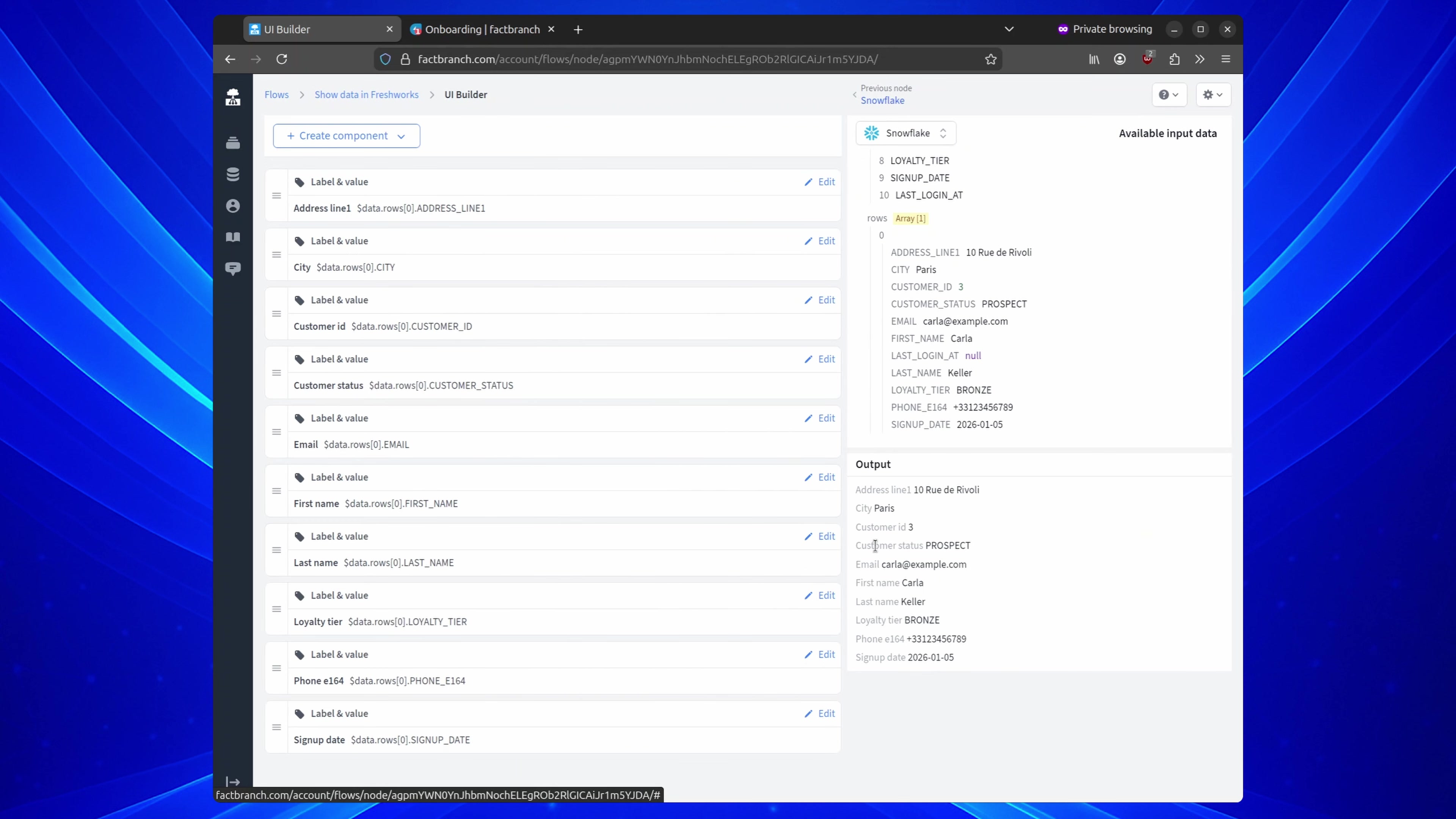 FactBranch generates a labelled UI from the Snowflake query result